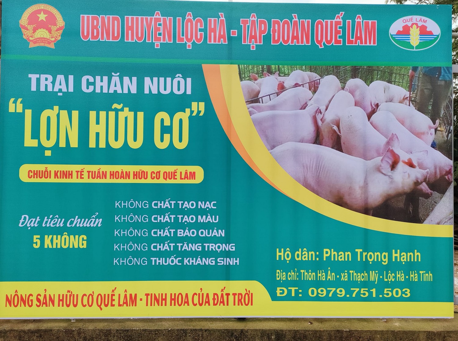 Lợn hữu cơ 3