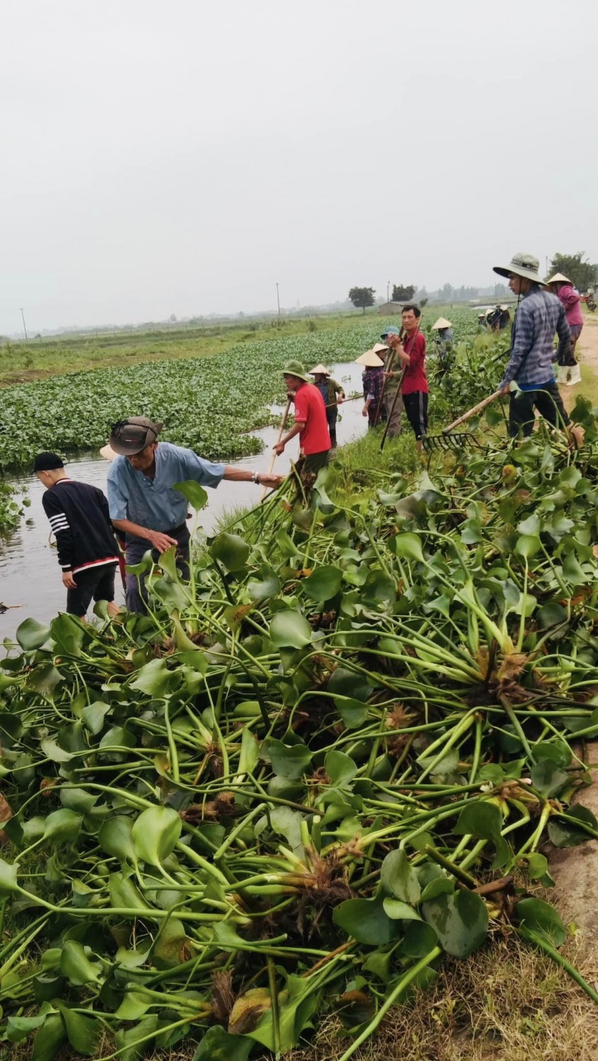 thon tây giang vớt bèo 1